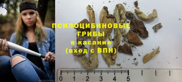 герыч Бронницы